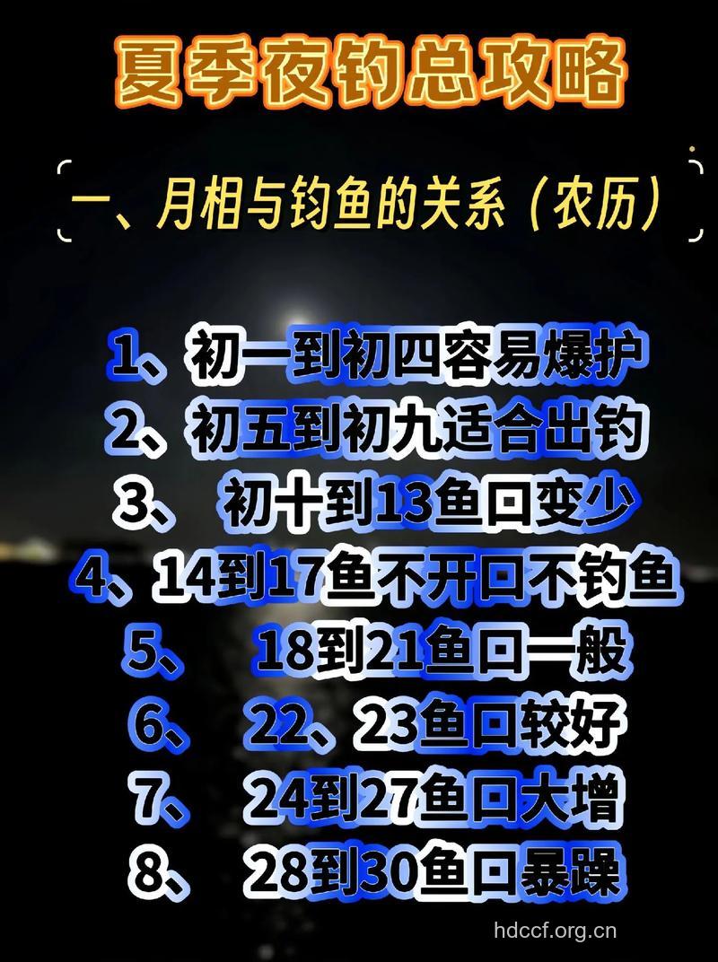 7大问题夜间海钓需注意