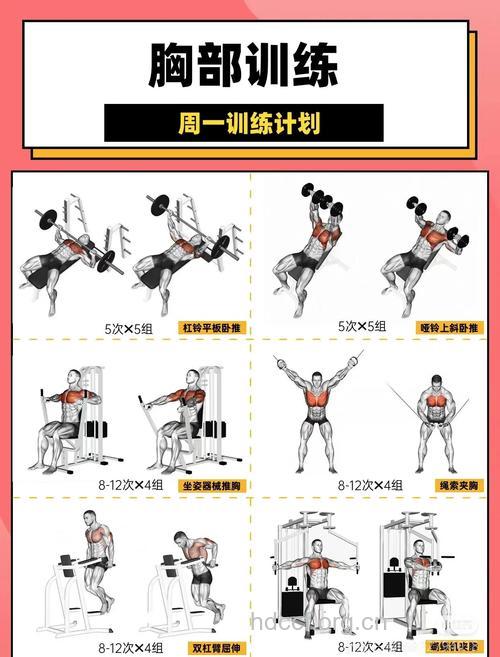 史上最有效的丰胸健身操