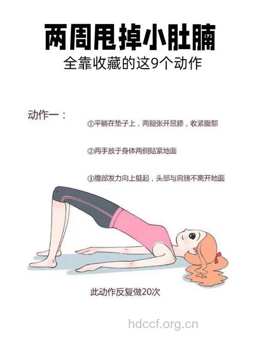 消除的啤酒肚的健身操