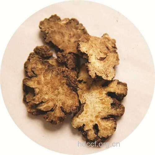 白醋泡川芎山奈治疗骨质增生