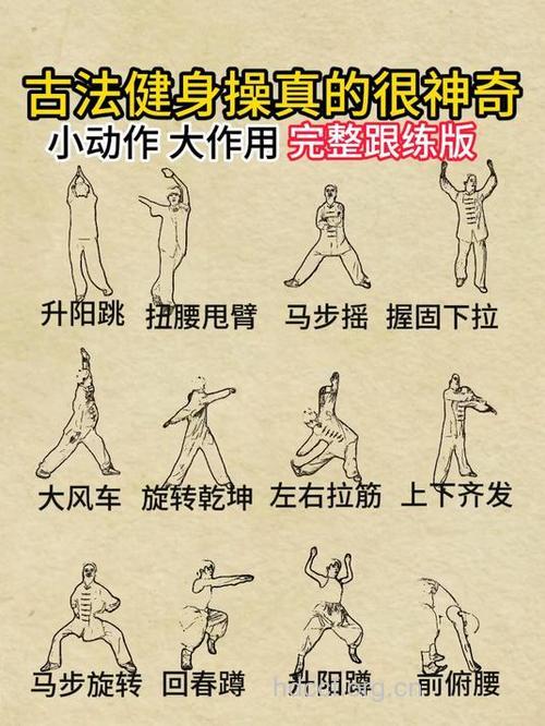 健身操到底有多少种分类