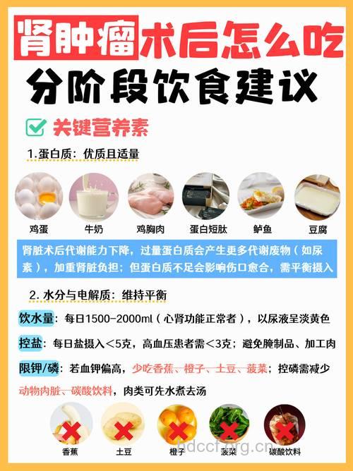 肾癌患者应该怎么安排饮食