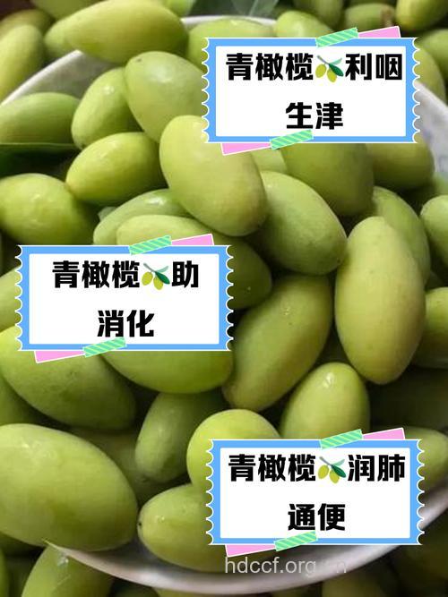 春季如何治疗慢性咽炎 青橄榄有奇效