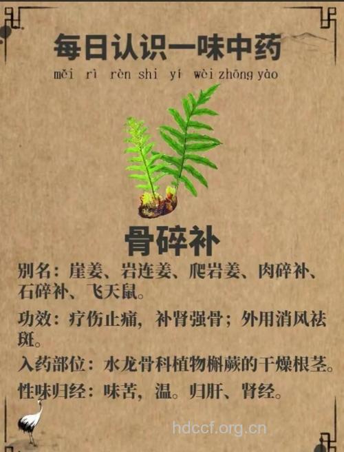 治疗骨质增生的中药小妙方
