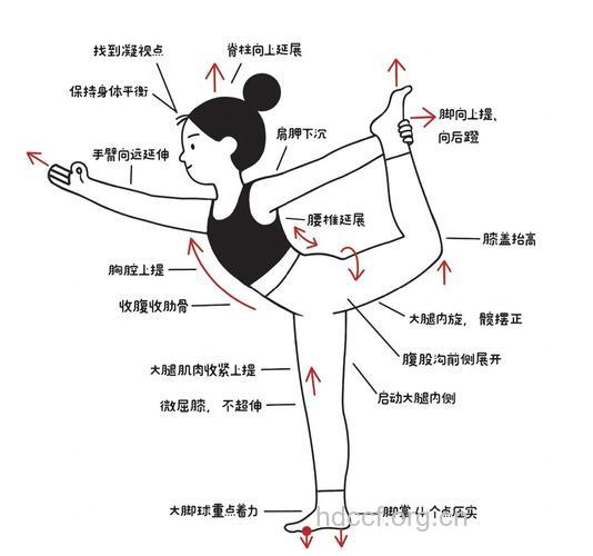 身体平衡操的基本动作