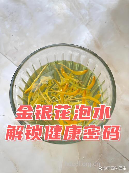 冬季咽喉肿痛喝金银花水