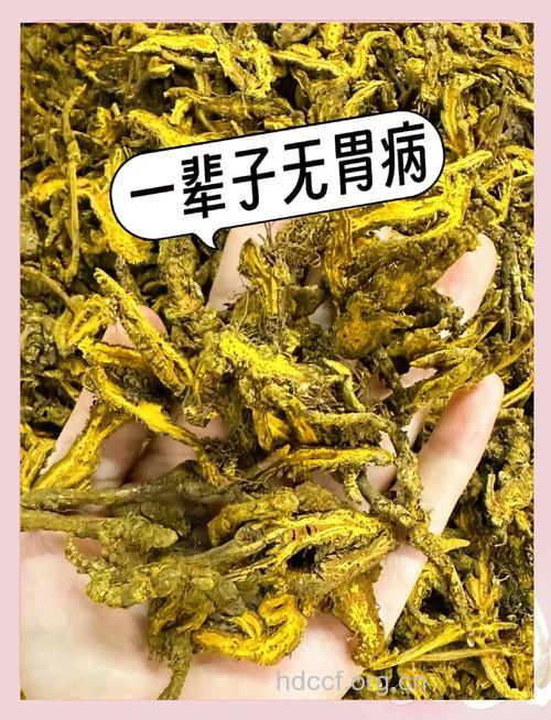 胃溃疡的土方