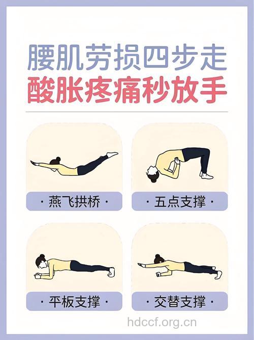 肌肉锻炼 快速拥有不易发胖体质