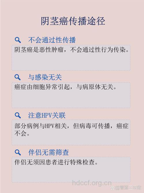 癌症会不会通过性爱传染