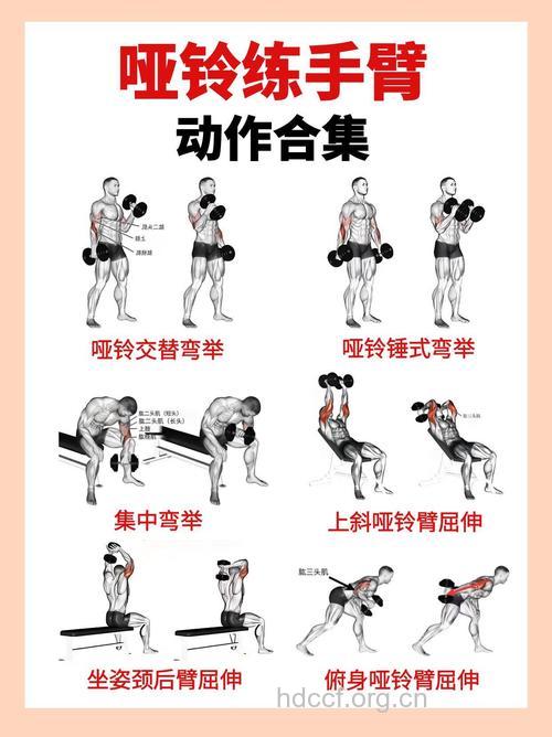2小时举重健身方法