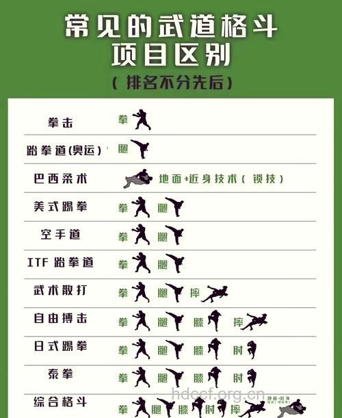 散打和自由搏击有哪些不同之处
