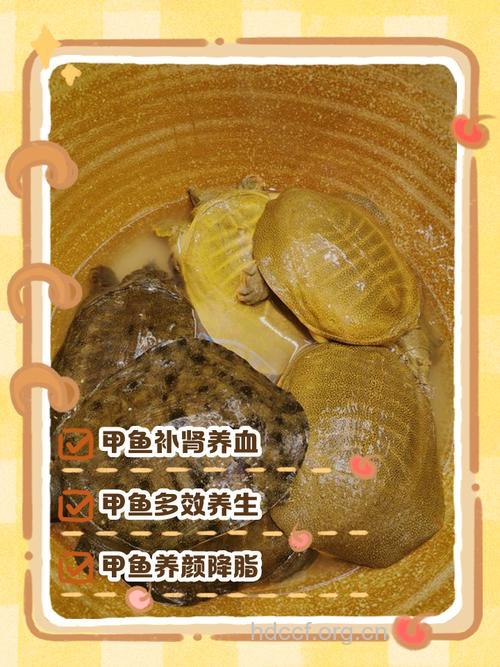 癌症病人吃鳖需注意