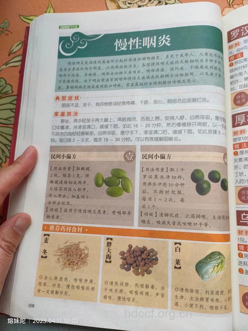 慢性咽炎的食疗方有哪些