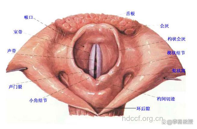 声带息肉症状是什么呢
