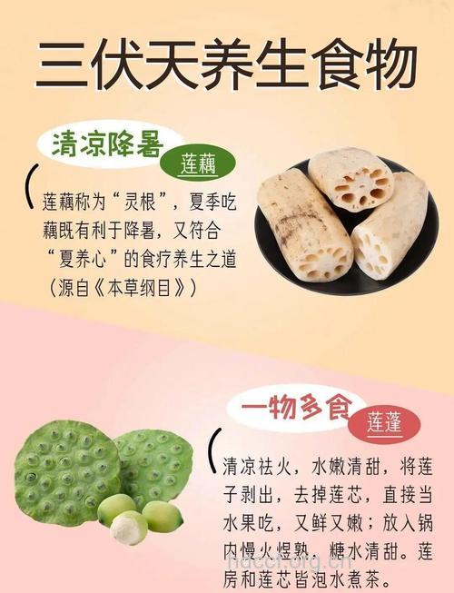 夏季吃什么消暑 五款美食让你清凉加倍