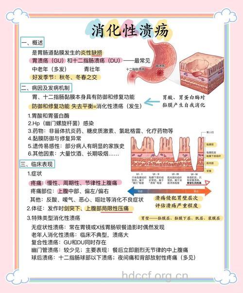 解读消化性溃疡的五大病因