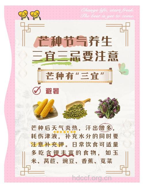 芒种节气习俗多 这些养生事项要牢记