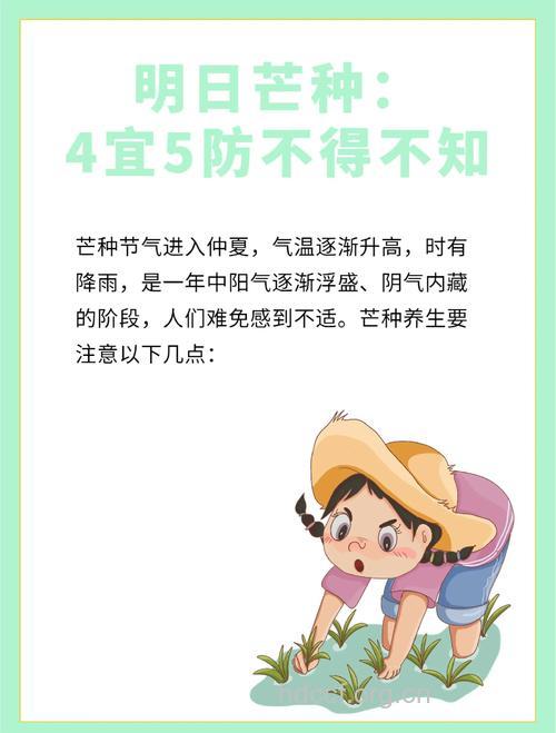 芒种时节天气炎热 调理肠胃正当时