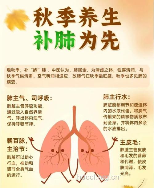 秋季非常适合养肺 抓住时机提高肺功能