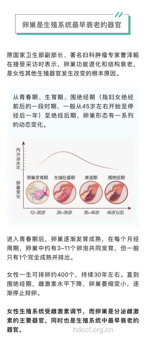 疾病百科 先天性卵巢发育是什么