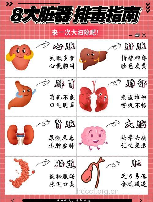 春季排毒好处特别多 请大家尝试这些排毒妙招