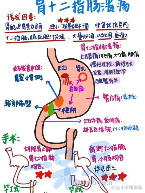 十二指肠溃疡的病理过程是什么
