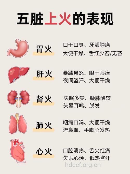 五脏六腑都有“火” 及时降火才能不伤身