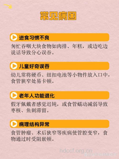 引起食管异物的6种原因