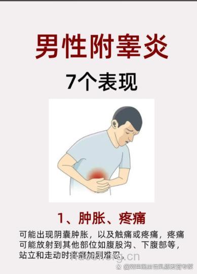 真相 附睾炎可诱发男性不育