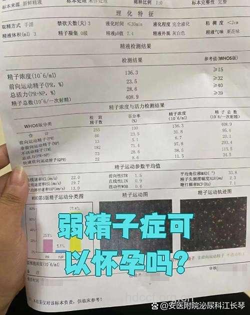 真相 弱精症怀孕几率多少