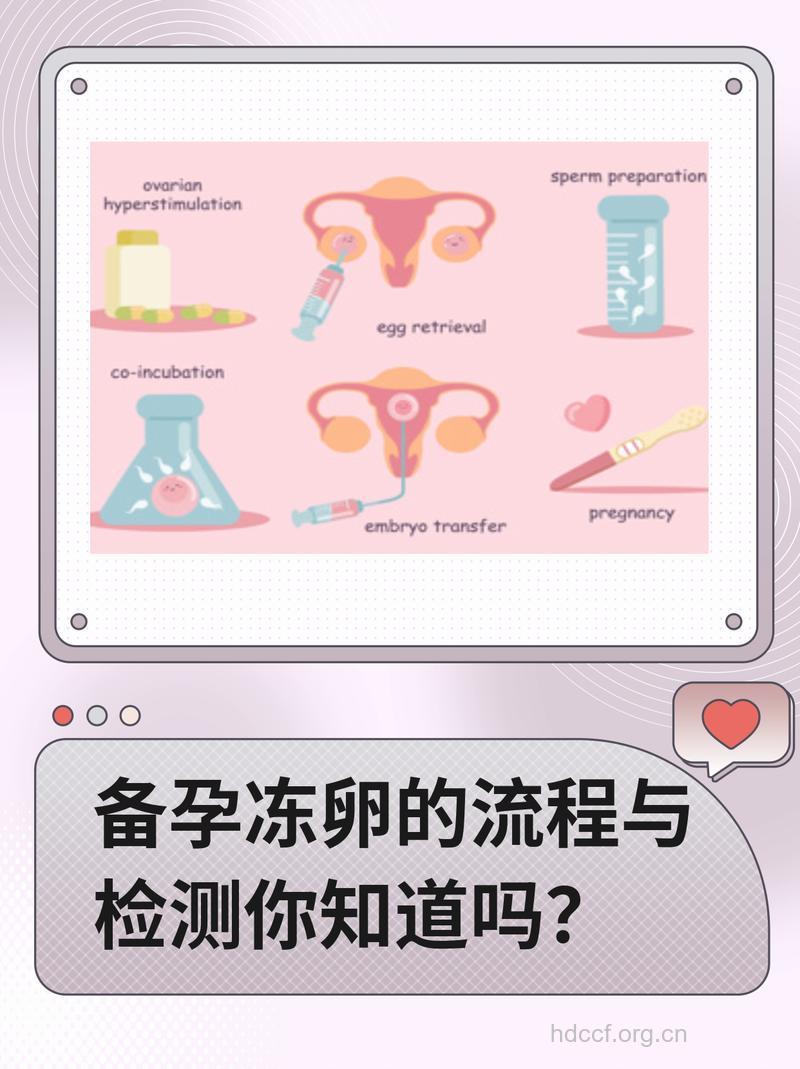 关于冷冻卵子 你必须要了解的知识