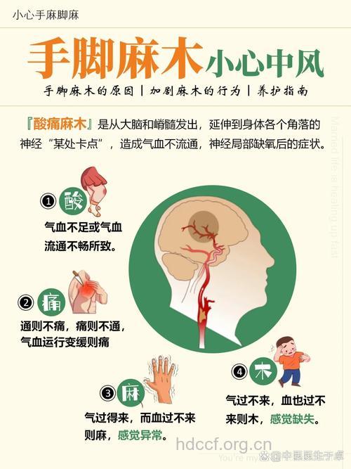 不同原因引起的四肢麻木 中医如何治疗？