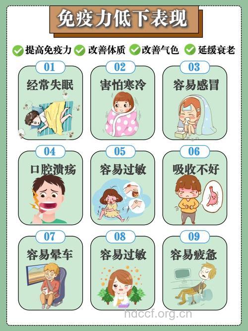 免疫力差有哪些表现?该如何调理?