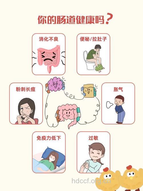 上班族怎么护理肠胃方法