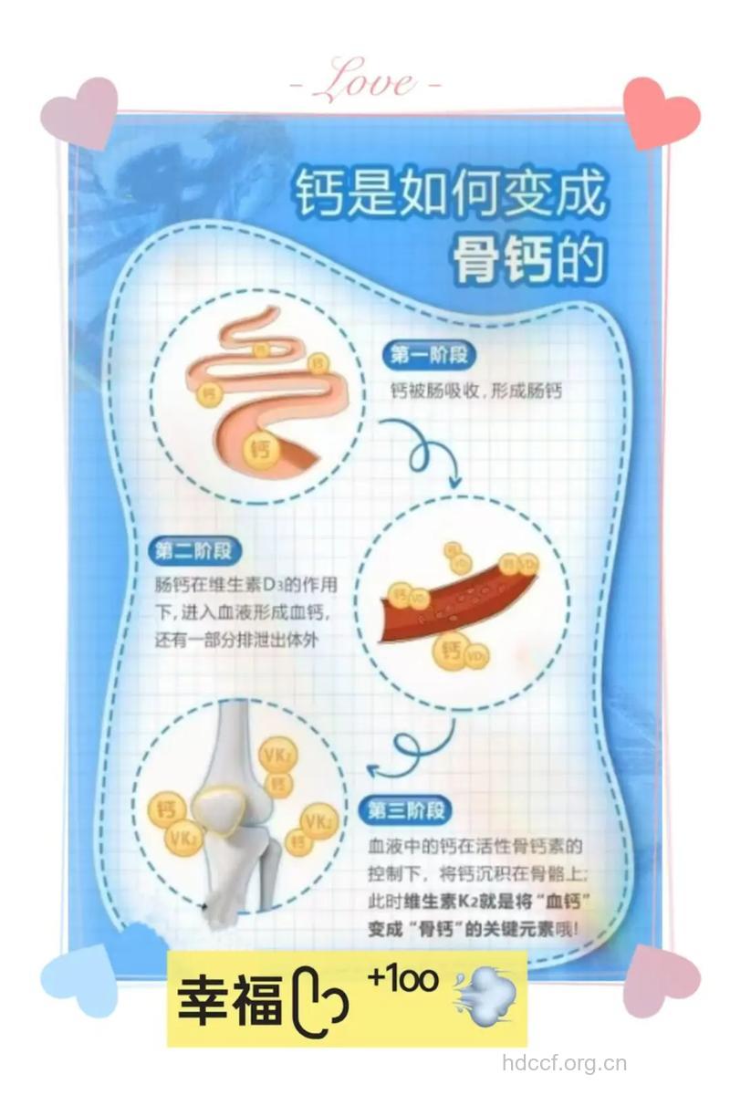 为何钙质会偷偷的从体内流出