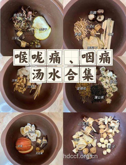 学习扁桃体炎的药膳