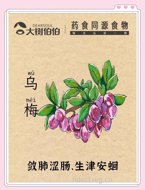 四偏方杀死 梅核气