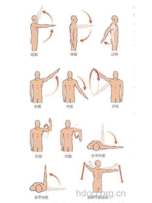 简单方便的肩周锻炼方法
