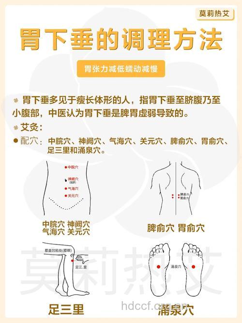 胃下垂 老中医是如何治疗的