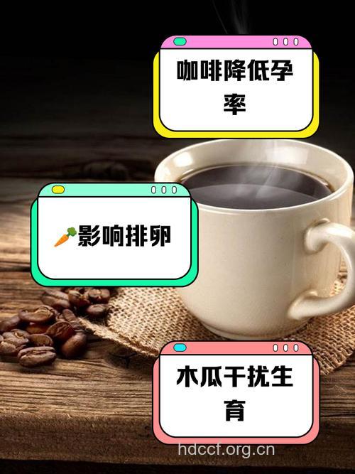 盘点 可以避孕的食物