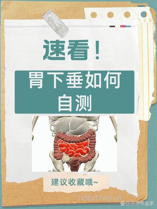 诊断胃下垂有什么方法