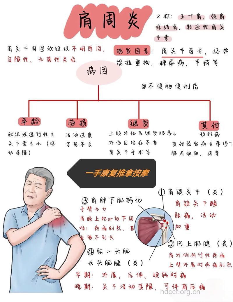 肩周炎的病因病理是什么？
