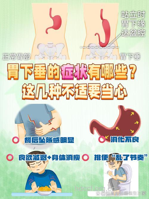 胃下垂的病因及临床表现