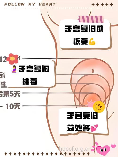 调理子宫方法与不宜怀孕类型