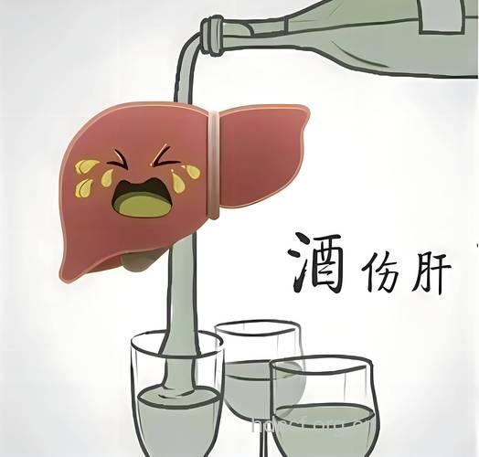 酒量突然下降 可能肝脏受到了损伤