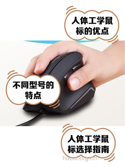 哪些器械对治疗鼠标手有好处