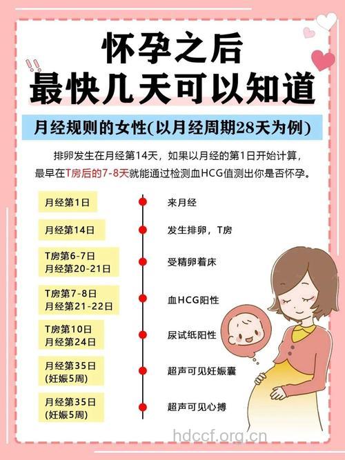 女性最易受孕的时间