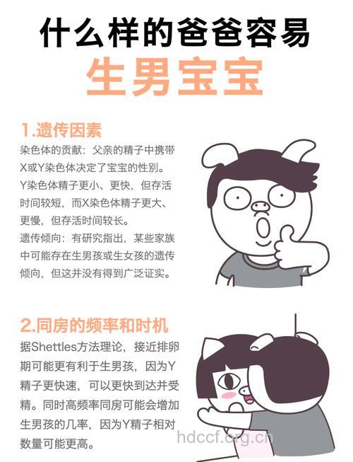 孕前准备足更易怀上男孩吗