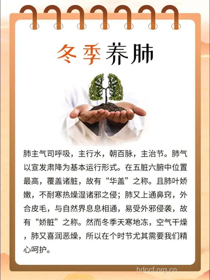 肺脏好才能过好冬 开始做冬季养肺工作吧
