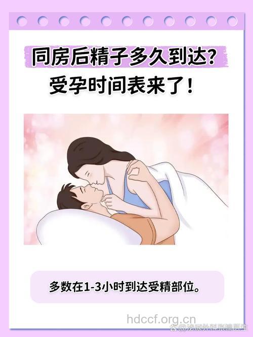 什么时间过性生活容易受孕